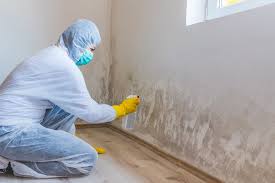 Best Airborne Mold Testing  in Hanley Hills, MO