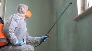 Best Commercial Mold Inspection  in Hanley Hills, MO