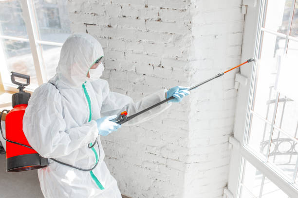 Best Residential Mold Inspection & Testing  in Hanley Hills, MO