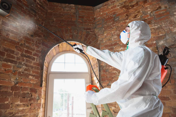 Best Environmental Consulting for Mold Prevention  in Hanley Hills, MO