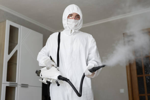  Hanley Hills, MO Mold Removal Services Pros